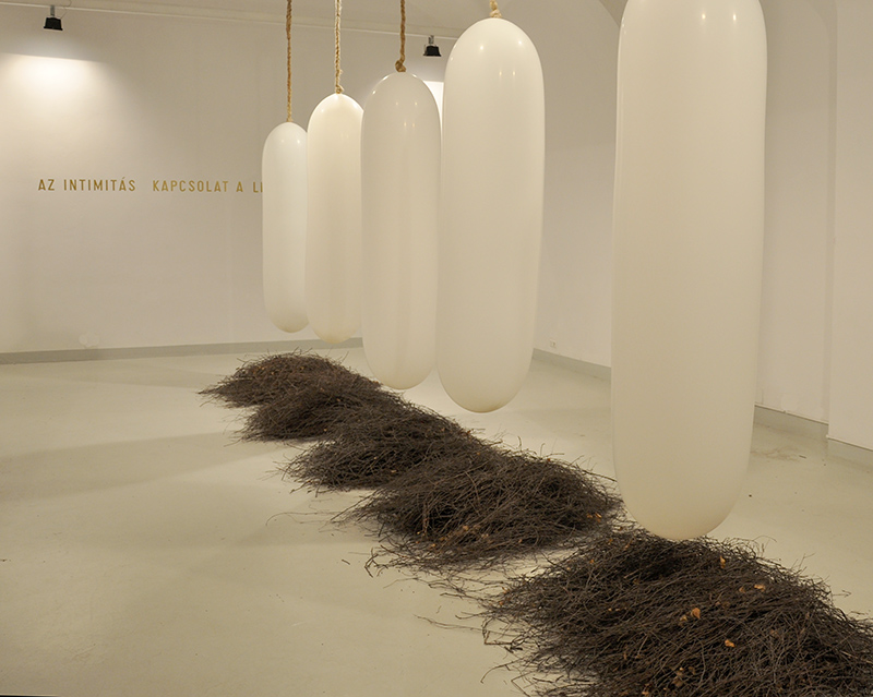 Intim | installáció | 2012