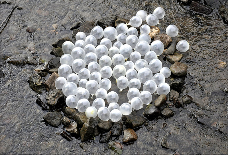 Buborék | installáció | 2009