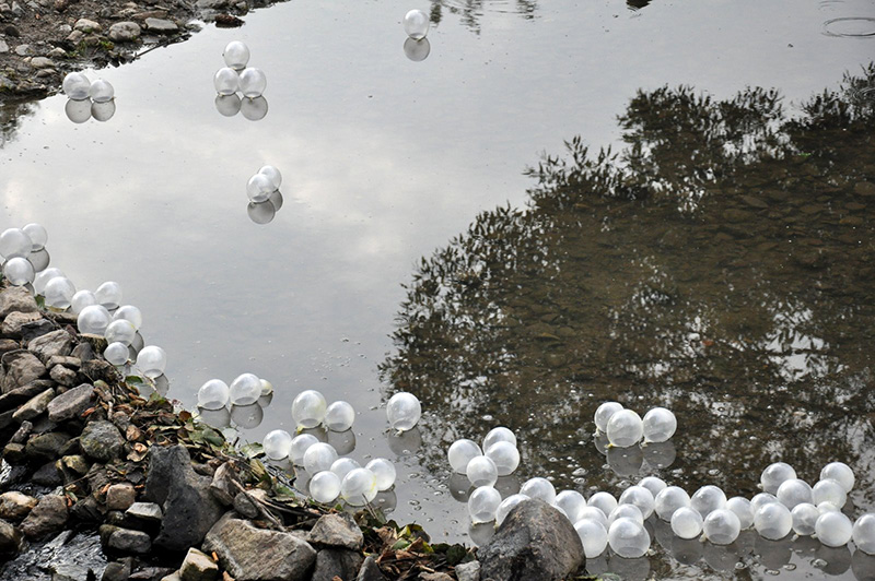 Buborék | installáció | 2009