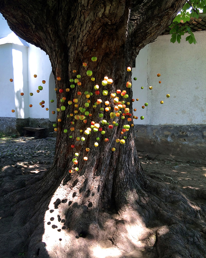 Éden | helyspecifikus installáció | 2015