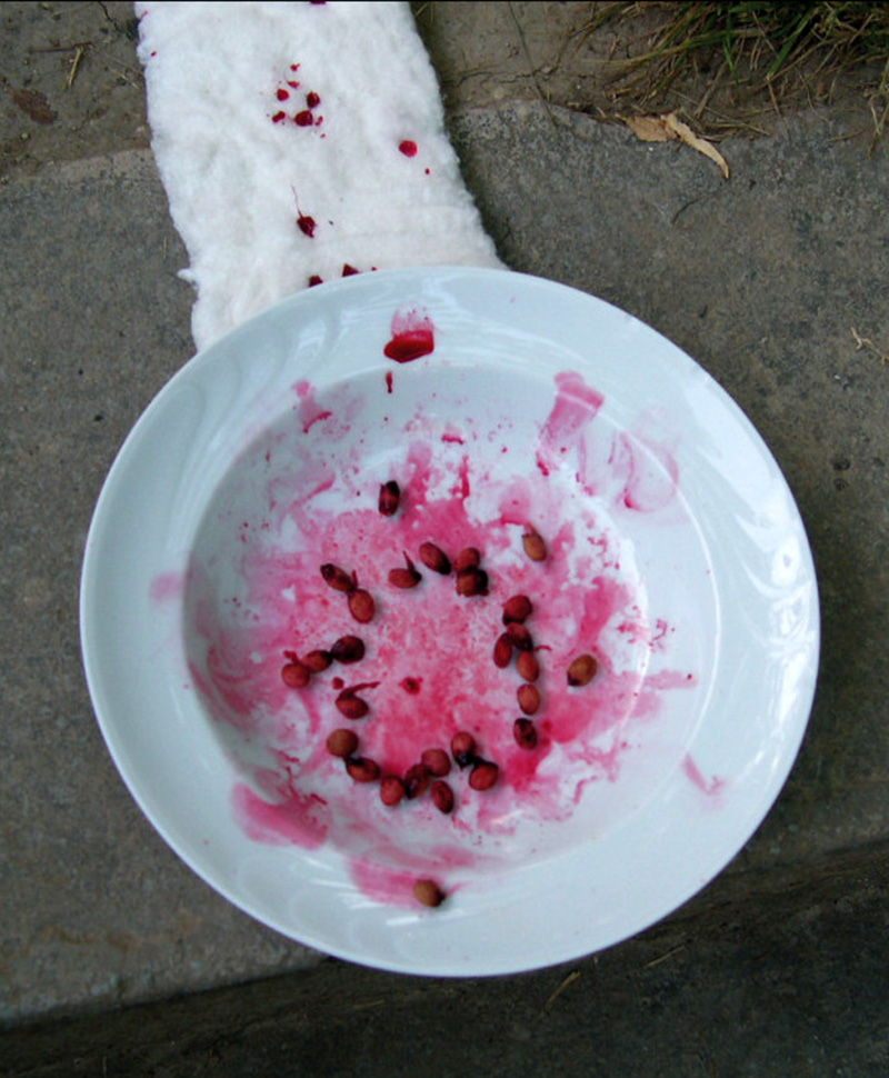 Miért változnak a nők? | performansz | 2005