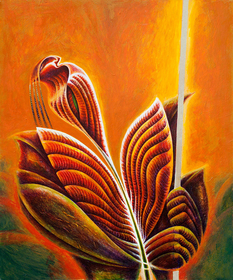 Virág | 50X60 | 2012
