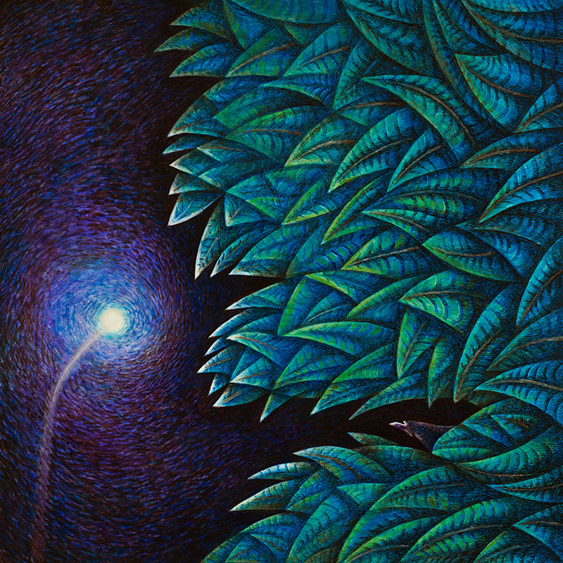 A vadon szava | 2013