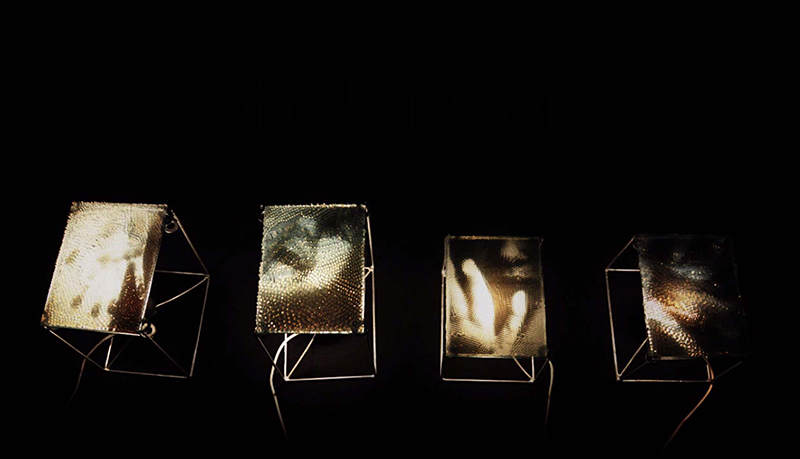 Falanszervilág | installáció | 15X20X20 cm